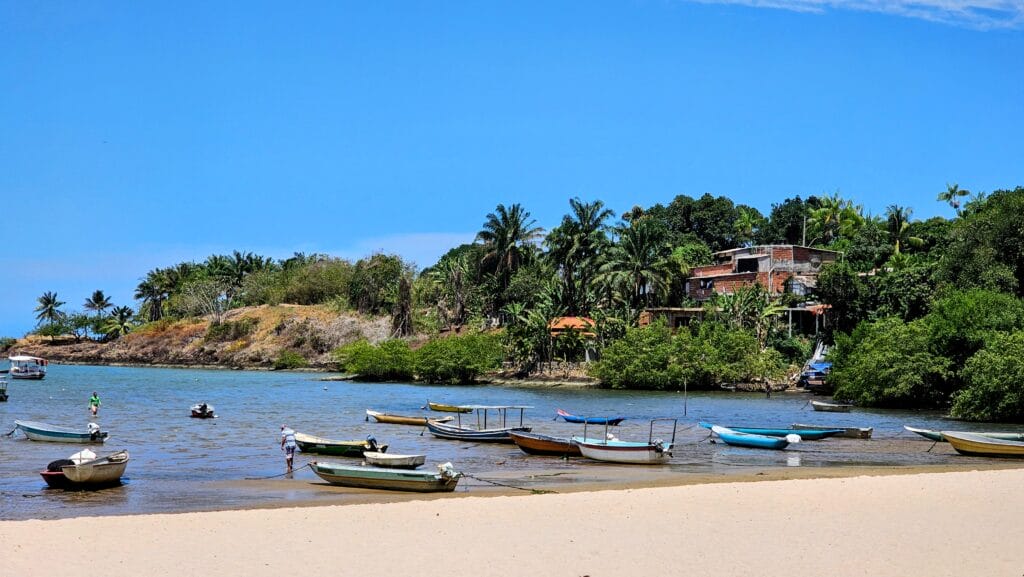 20231219 122246 EDIT