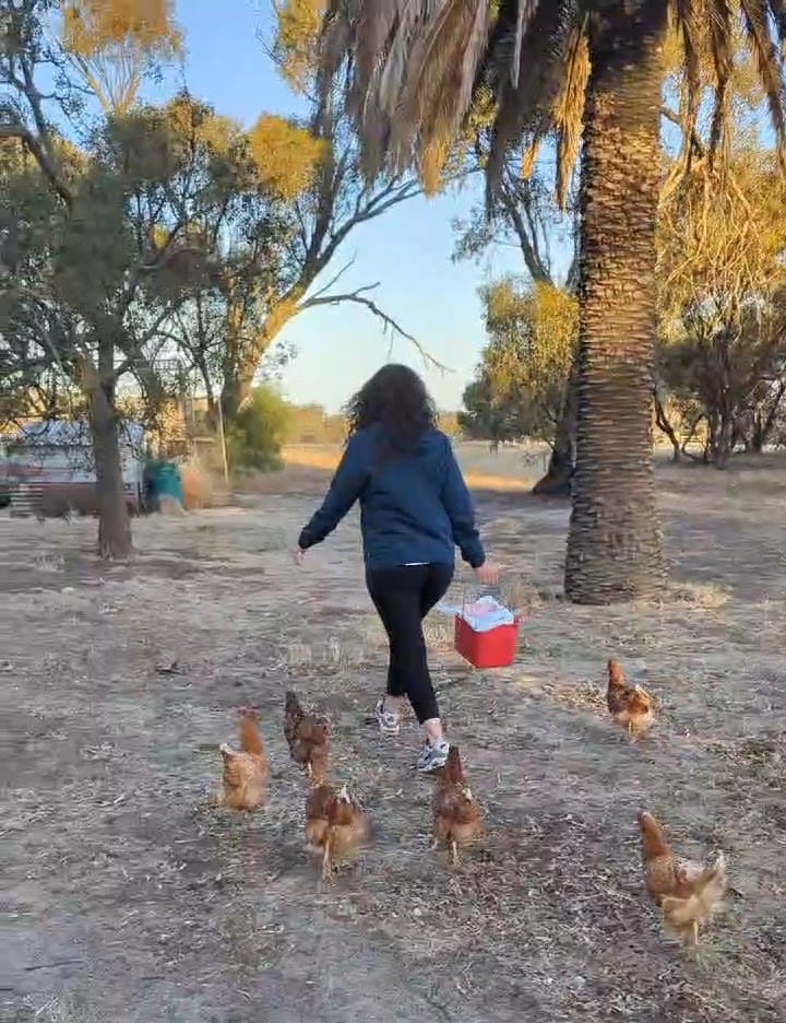 VideoCapture 20250115 123513