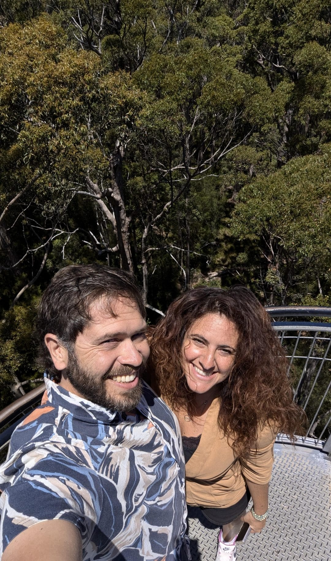 top tree walk