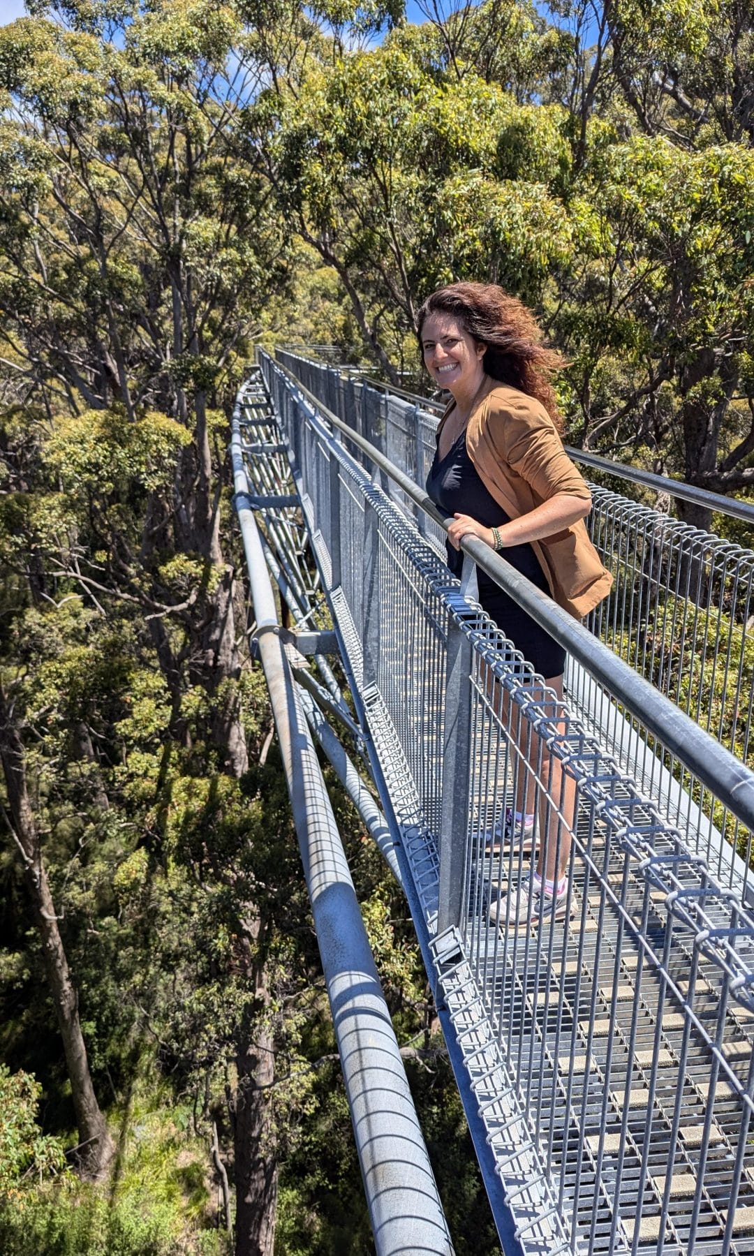 toptreewalk