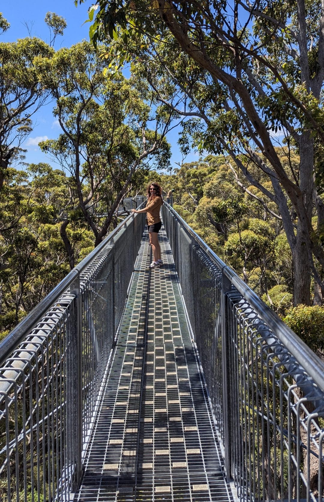 toptreewalk1