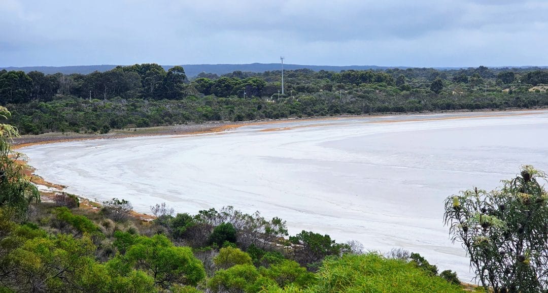 pink lake